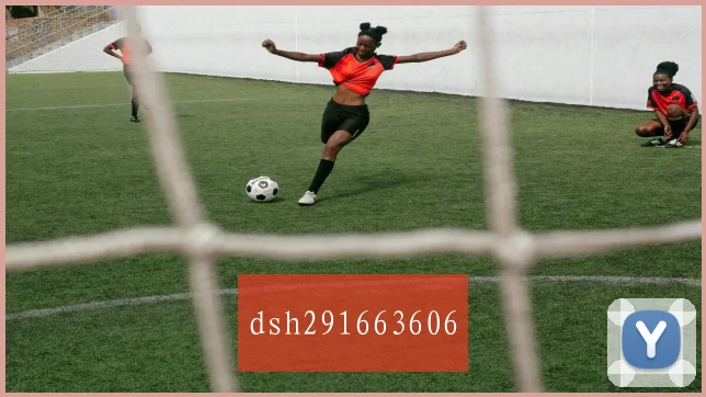 dsh291663606